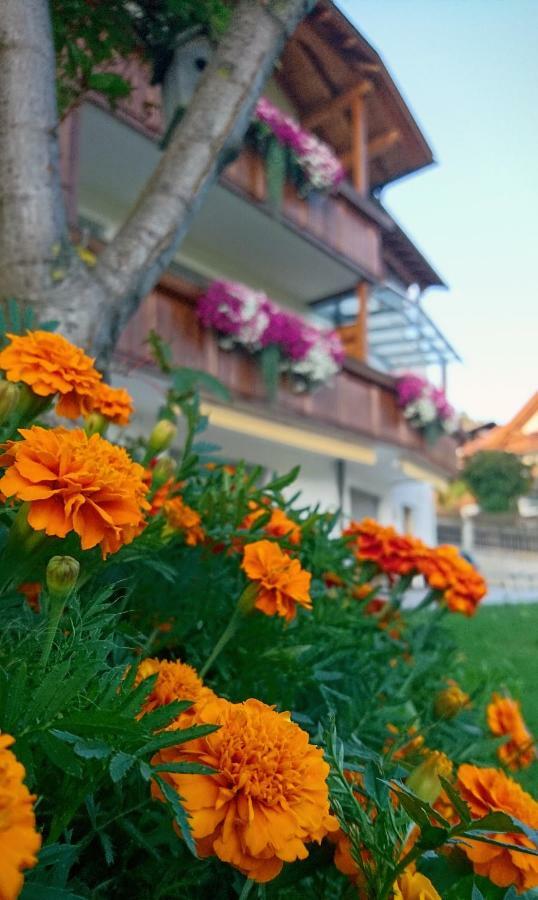 Residence Sonnberg Perca Εξωτερικό φωτογραφία